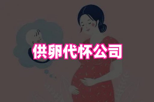 试管助孕网站 1
