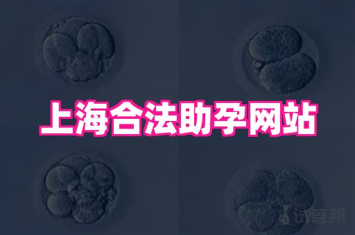 试管助孕网站 3
